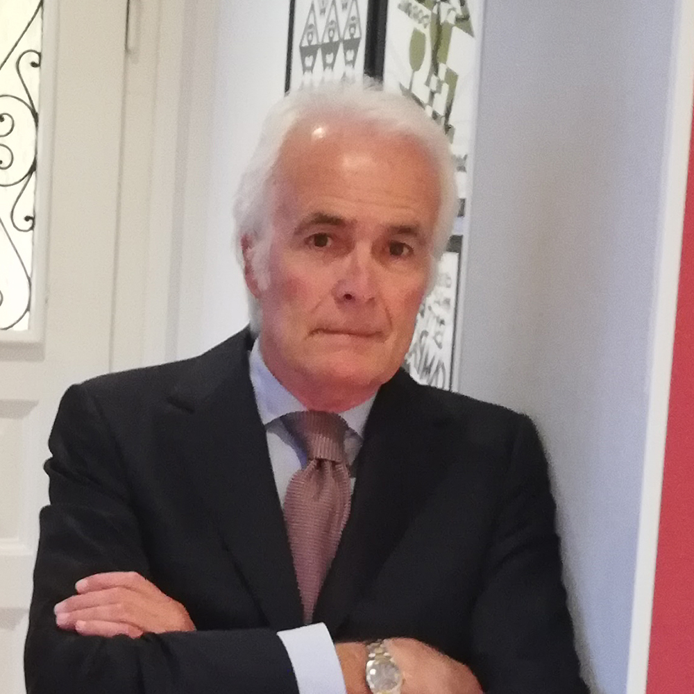 giuseppe-paltenghi-reggiani